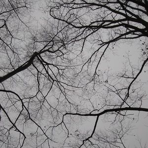 Meet your Posher, Kortney